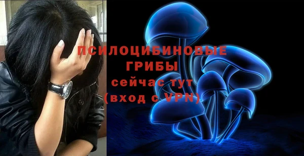 скорость Баксан