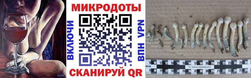Псилоцибиновые грибы Psilocybine cubensis  блэк спрут как зайти  Киров 
